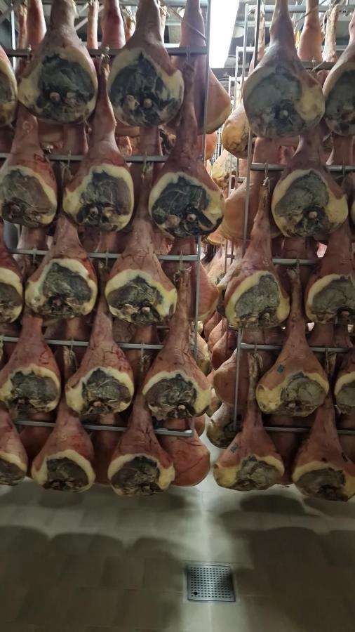 Albergo Ai Sapori San Daniele del Friuli Luaran gambar