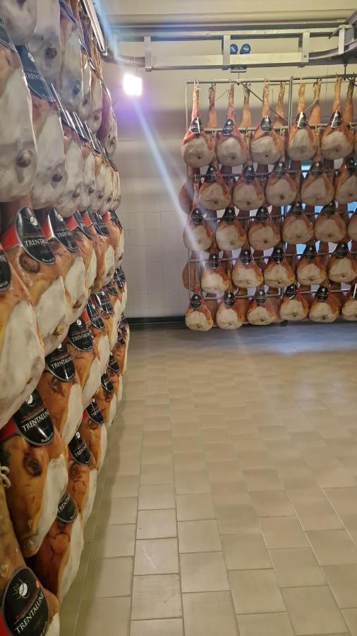 Albergo Ai Sapori San Daniele del Friuli Luaran gambar
